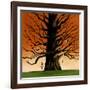 Family Tree-Mark Ulriksen-Framed Art Print