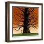 Family Tree-Mark Ulriksen-Framed Art Print