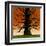 Family Tree-Mark Ulriksen-Framed Art Print