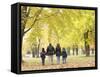 Family Walking in the Park-null-Framed Stretched Canvas