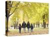 Family Walking in the Park-null-Stretched Canvas