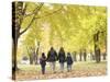 Family Walking in the Park-null-Stretched Canvas