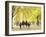 Family Walking in the Park-null-Framed Photographic Print