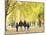 Family Walking in the Park-null-Mounted Photographic Print