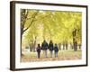 Family Walking in the Park-null-Framed Photographic Print