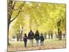 Family Walking in the Park-null-Mounted Photographic Print