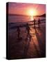 Family Walking on Beach at Dusk, HI-Mark Gibson-Stretched Canvas