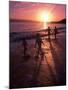 Family Walking on Beach at Dusk, HI-Mark Gibson-Mounted Photographic Print