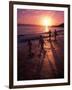 Family Walking on Beach at Dusk, HI-Mark Gibson-Framed Photographic Print