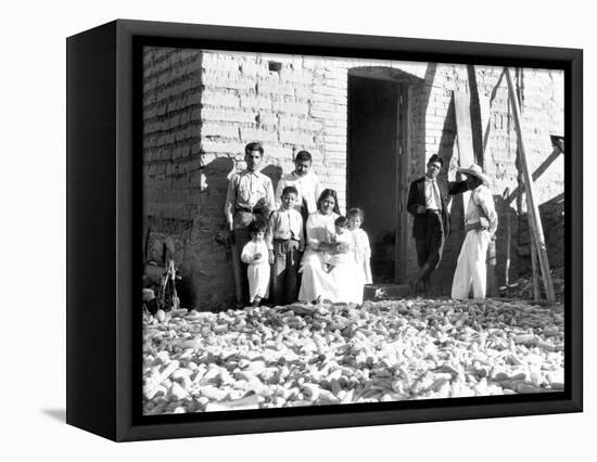 Family with Corn, State of Veracruz, Mexico, 1927-Tina Modotti-Framed Stretched Canvas