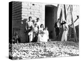 Family with Corn, State of Veracruz, Mexico, 1927-Tina Modotti-Stretched Canvas