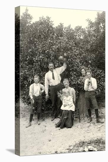 Family with Grapefruit Tree-null-Stretched Canvas