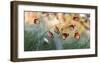 Family-Mustafa ozturk-Framed Giclee Print