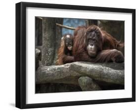 Family-Stephen Arens-Framed Photographic Print