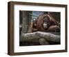 Family-Stephen Arens-Framed Photographic Print