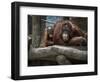 Family-Stephen Arens-Framed Photographic Print