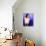 Famke Janssen-null-Stretched Canvas displayed on a wall