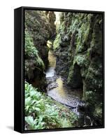 Famous 3 Mile Gorge in Devon Owned by the National Trust, Devon, England, United Kingdom, Europe-David Lomax-Framed Stretched Canvas