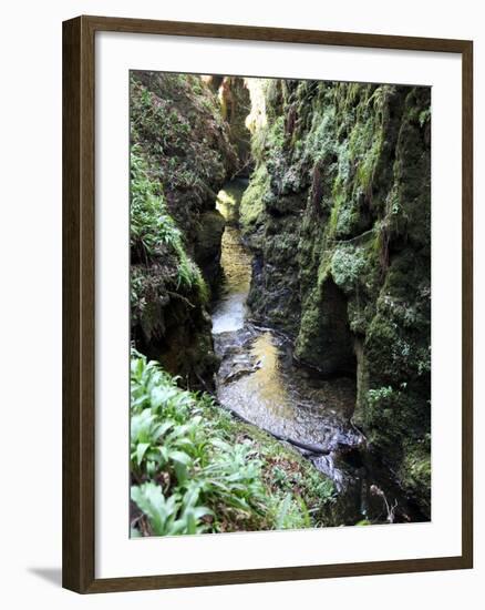 Famous 3 Mile Gorge in Devon Owned by the National Trust, Devon, England, United Kingdom, Europe-David Lomax-Framed Photographic Print