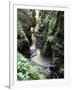 Famous 3 Mile Gorge in Devon Owned by the National Trust, Devon, England, United Kingdom, Europe-David Lomax-Framed Photographic Print