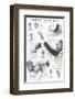 Famous African-Americans-null-Framed Art Print