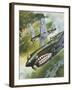 Famous Aircraft and their Pilots-Wilf Hardy-Framed Giclee Print