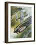 Famous Aircraft and their Pilots-Wilf Hardy-Framed Giclee Print