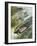 Famous Aircraft and their Pilots-Wilf Hardy-Framed Giclee Print