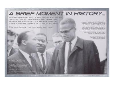 'Famous Americans - Black History 6' Premium Giclee Print | AllPosters.com