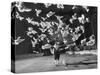 Famous Animal Trainer Vladimir Durov of the Moscow Circus Performing with His Birds-Loomis Dean-Stretched Canvas