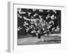 Famous Animal Trainer Vladimir Durov of the Moscow Circus Performing with His Birds-Loomis Dean-Framed Photographic Print