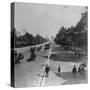 Famous Bois De Boulogne-null-Stretched Canvas