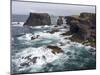 Famous Cliffs and Sea Stacks of Esha Ness, Shetland Islands-Martin Zwick-Mounted Photographic Print