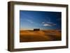 Famous Cypress Tree Group in Tuscany after Harvest-null-Framed Photographic Print