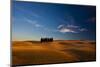 Famous Cypress Tree Group in Tuscany after Harvest-null-Mounted Photographic Print