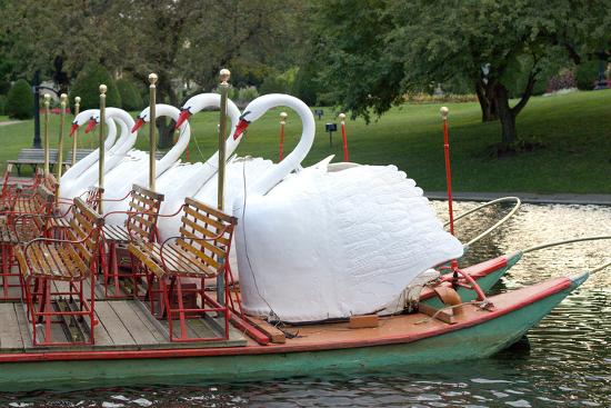 Famous Duck Boats in Boston Common Photo Poster
