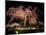 Famous Giant Weeping Cherry Tree in Blossom and Illuminated at Night, Maruyama Park, Kyoto, Honshu-Gavin Hellier-Mounted Photographic Print