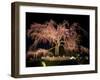 Famous Giant Weeping Cherry Tree in Blossom and Illuminated at Night, Maruyama Park, Kyoto, Honshu-Gavin Hellier-Framed Photographic Print