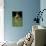 Famous Kitten Hang In There Poster-Trends International-Mounted Poster displayed on a wall
