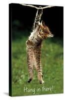 Famous Kitten Hang In There Poster-Trends International-Stretched Canvas