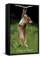 Famous Kitten Hang In There Poster-Trends International-Framed Stretched Canvas