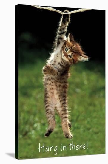 Famous Kitten Hang In There Poster-Trends International-Stretched Canvas
