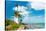 Famous Lighthouse at Cape Florida in the South End of Key Biscayne , Miami-Kamira-Stretched Canvas