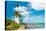 Famous Lighthouse at Cape Florida in the South End of Key Biscayne , Miami-Kamira-Stretched Canvas