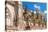 Famous Notre Dame De Strasbourg, Alsace, France. Details of Architecture.-g215-Stretched Canvas