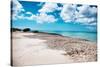 Famous Palm Beach on Aruba in the Caribbean-PlusONE-Stretched Canvas