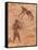 Famous Prehistoric Rock Paintings Of Tassili N'Ajjer, Algeria-DmitryP-Framed Stretched Canvas