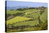 Famous Road Winding Through the Tuscan Hillside, Italy-Terry Eggers-Stretched Canvas