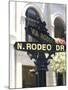 Famous Rodeo Drive, Los Angeles, California, USA-Bill Bachmann-Mounted Photographic Print