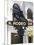 Famous Rodeo Drive, Los Angeles, California, USA-Bill Bachmann-Mounted Photographic Print